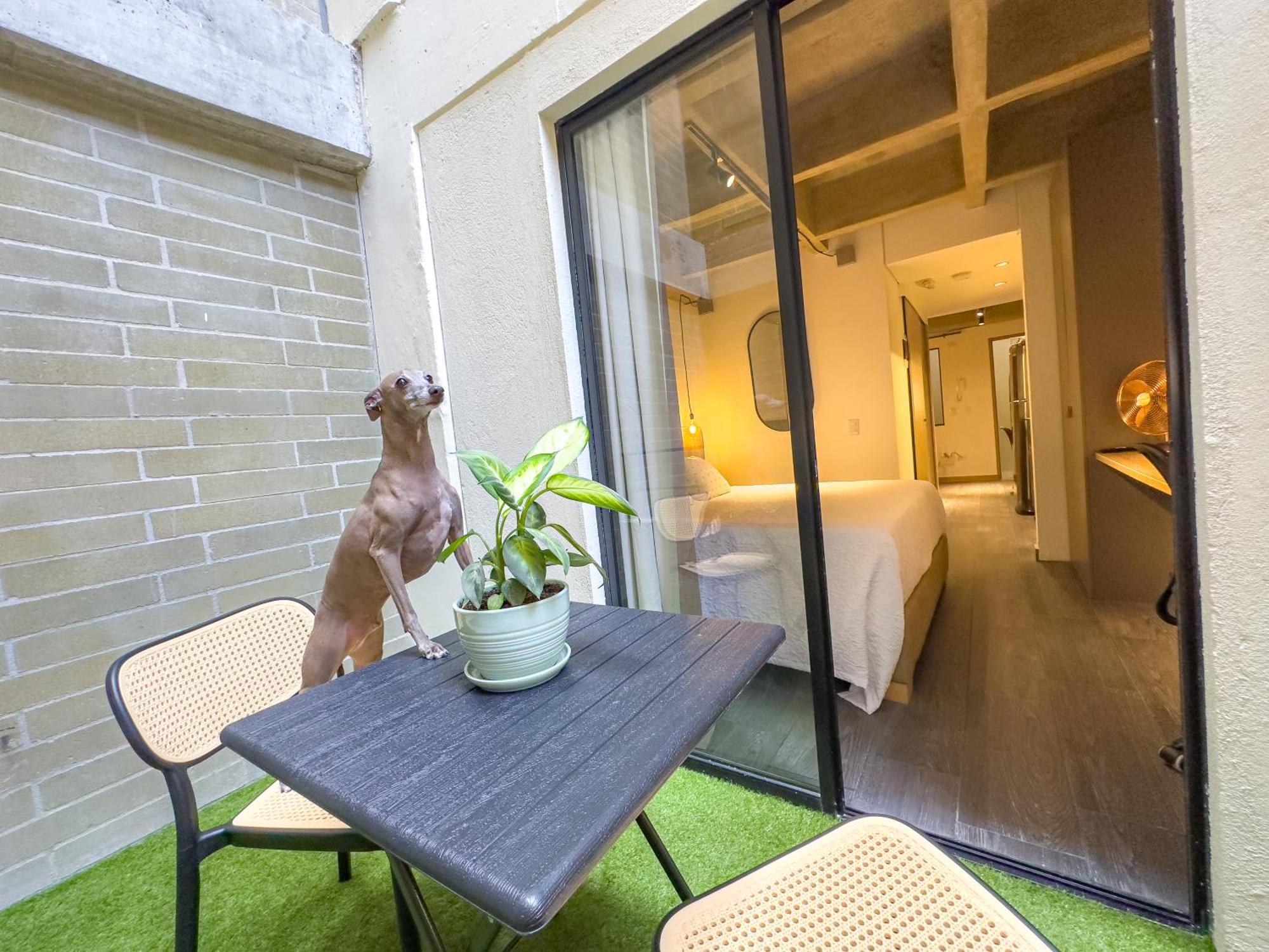 B 48 Living By B Rent Apartment เมเดยิน ภายนอก รูปภาพ